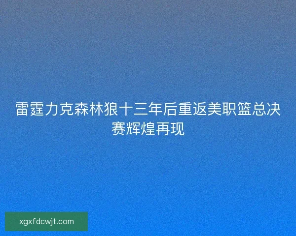 雷霆力克森林狼十三年后重返美职篮总决赛辉煌再现 雷霆力克森林狼十三年后重返美职篮总决赛辉煌再现