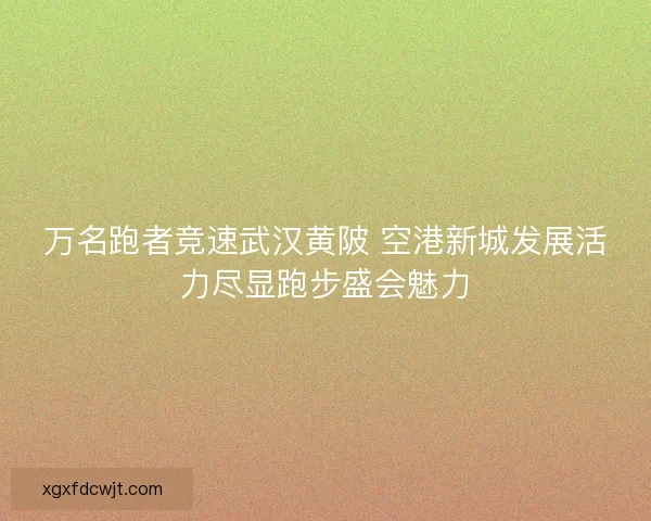 万名跑者竞速武汉黄陂 空港新城发展活力尽显跑步盛会魅力 万名跑者竞速武汉黄陂 空港新城发展活力尽显跑步盛会魅力