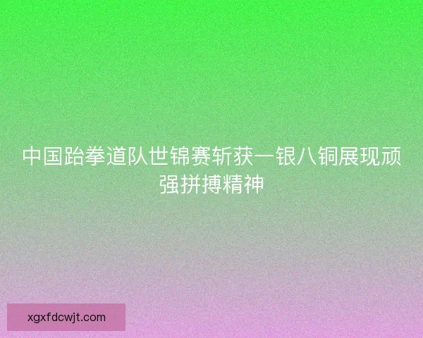 中国跆拳道队世锦赛斩获一银八铜展现顽强拼搏精神