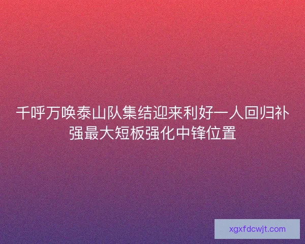 千呼万唤泰山队集结迎来利好一人回归补强最大短板强化中锋位置