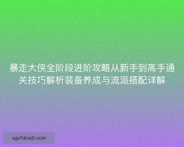 暴走大侠全阶段进阶攻略从新手到高手通关技巧解析装备养成与流派搭配详解