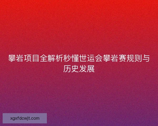 攀岩项目全解析秒懂世运会攀岩赛规则与历史发展 攀岩项目全解析秒懂世运会攀岩赛规则与历史发展