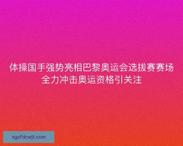 体操国手强势亮相巴黎奥运会选拔赛赛场全力冲击奥运资格引关注 体操国手强势亮相巴黎奥运会选拔赛赛场全力冲击奥运资格引关注